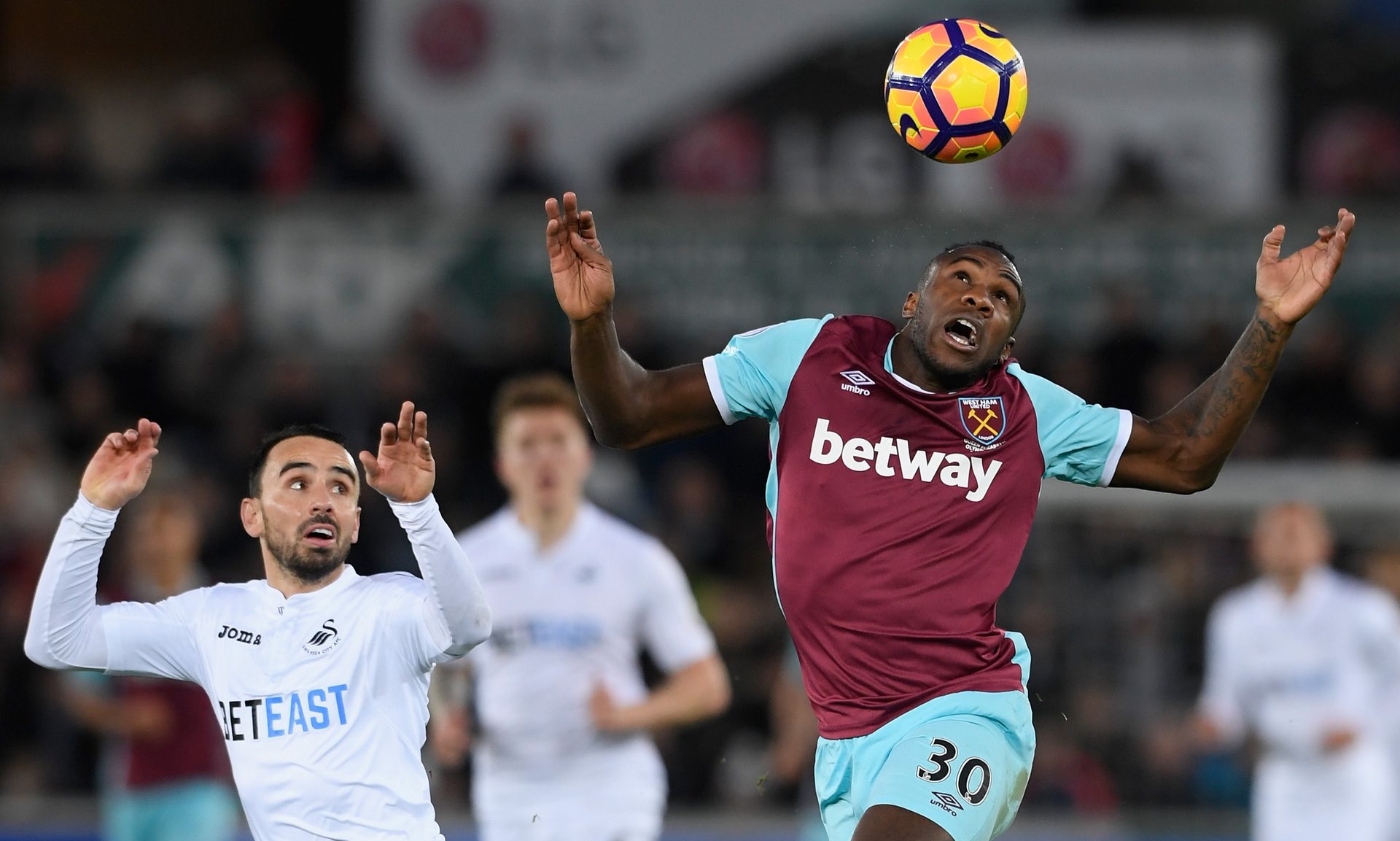 心血管健康 心血管健康